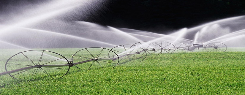 Irrigation, Garden And Fogging Works