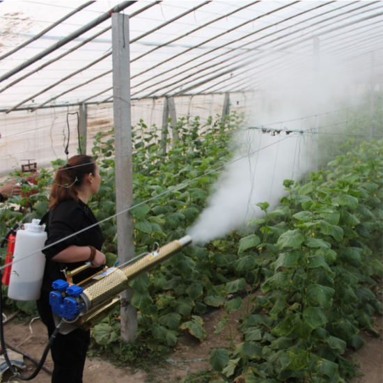 irrigation-garden-fogging-works-4